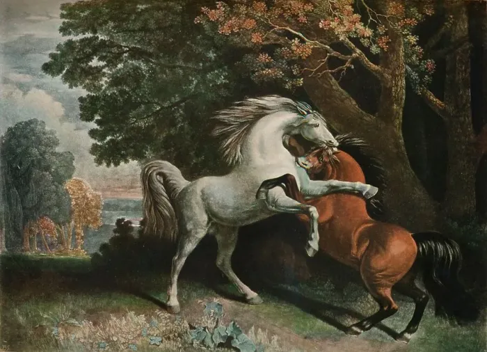 Framed Print : Horses Fighting, c18th century, (1902). Artist: George Townley Stubbs Framed Print : Horses Fighting, c18th century, (1902). Artist: George Townley Stubbs