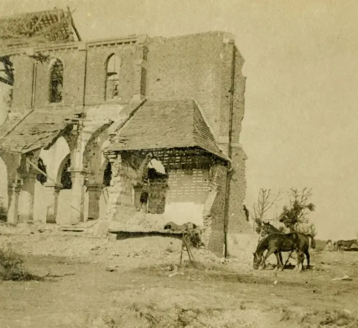 Framed Print : Horses grazing near ruined church, Frise, northern France, c1914-c1918 Framed Print : Horses grazing near ruined church, Frise, northern France, c1914-c1918