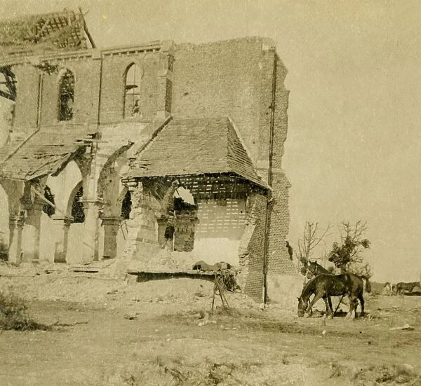 Horses grazing near ruined church, Frise, northern France, c1914-c1918