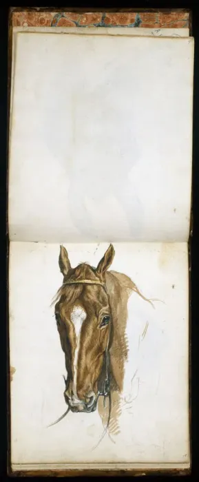 Framed Print : Horses Head, c1817-1873. Artist: Edwin Henry Landseer Framed Print : Horses Head, c1817-1873. Artist: Edwin Henry Landseer