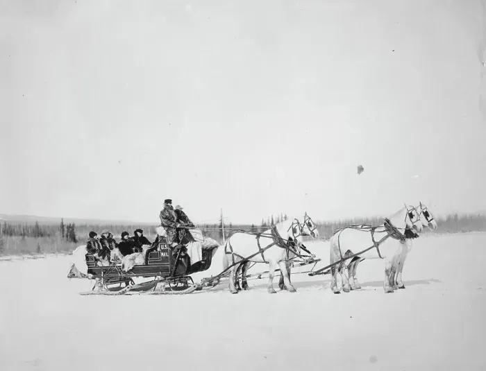 Framed Print : Horses pulling U.S. Mail sled, between c1900 and 1927. Creator: Unknown Framed Print : Horses pulling U.S. Mail sled, between c1900 and 1927. Creator: Unknown