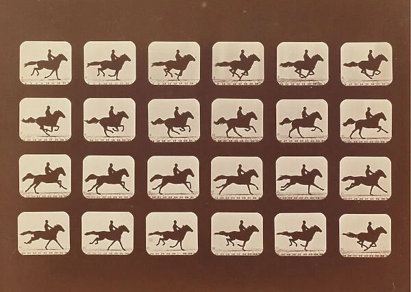 Horses. Running. Phyrne L. No. 40, 1879. Creator: Eadweard J Muybridge