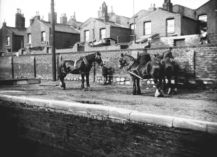 Framed Print : Horses used for towing resting by the side of a canal, London, c1905 Framed Print : Horses used for towing resting by the side of a canal, London, c1905