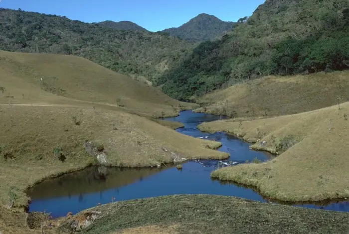 Framed Print : Horton plains grassland and forest. Artist: CM Dixon Framed Print : Horton plains grassland and forest. Artist: CM Dixon