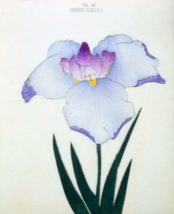 Framed Print : Hoshi-Zukiyo, No. 45 Framed Print : Hoshi-Zukiyo, No. 45