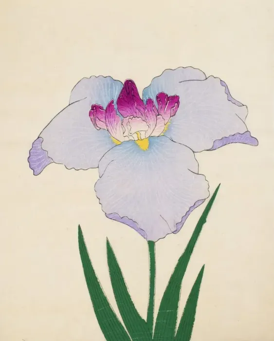 Framed Print : Hoshi-Zukiyo, No. 45, 1890, (colour woodblock print) Framed Print : Hoshi-Zukiyo, No. 45, 1890, (colour woodblock print)