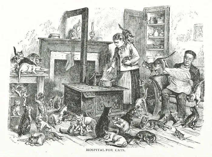 Framed Print : Hospital for cats, 1882. Creator: Unknown Framed Print : Hospital for cats, 1882. Creator: Unknown