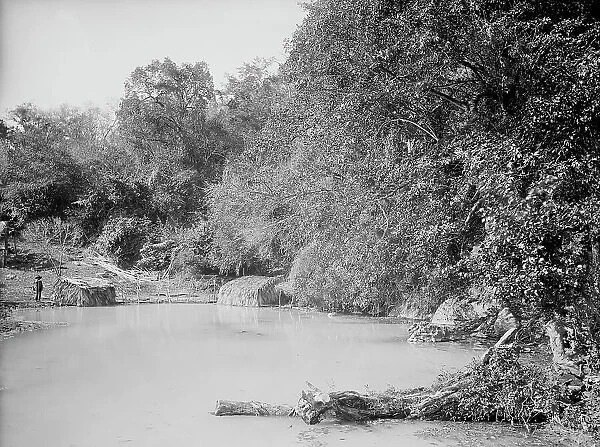 Hot springs at Taninul, between 1880 and 1897. Creator: William H. Jackson