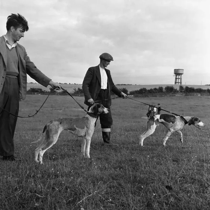 Framed Print : Hound Trailing, one of Cumbrias oldest and most popular sports, Keswick, 2nd July 1962 Framed Print : Hound Trailing, one of Cumbrias oldest and most popular sports, Keswick, 2nd July 1962