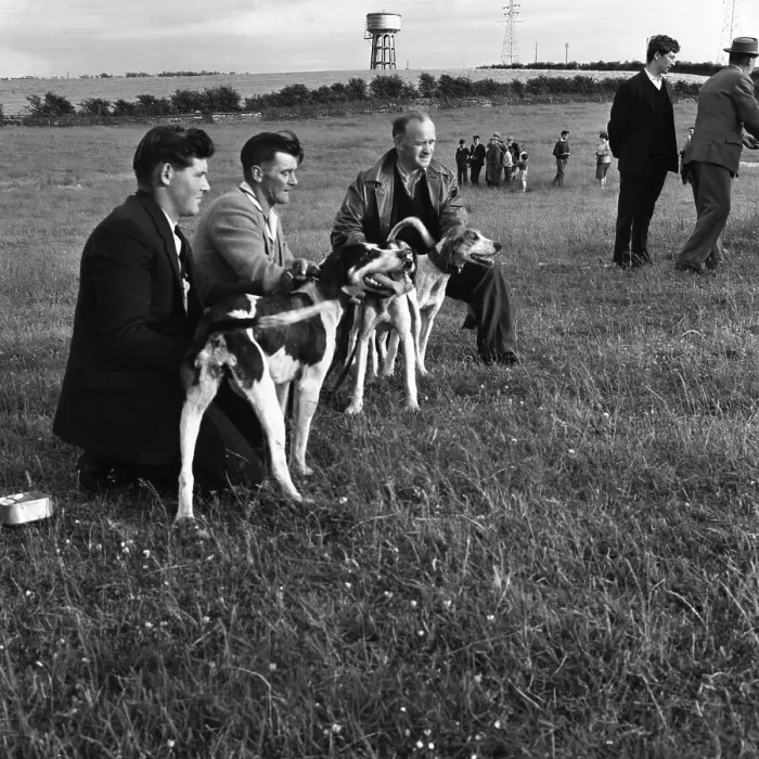 Framed Print : Hound Trailing, one of Cumbrias oldest and most popular sports, Keswick, 2nd July 1962 Framed Print : Hound Trailing, one of Cumbrias oldest and most popular sports, Keswick, 2nd July 1962
