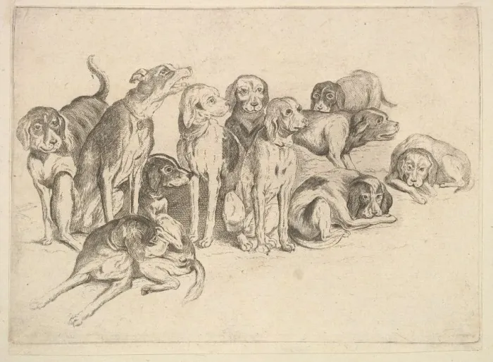 Framed Print : Eleven Hounds, 1625-77. Creator: Wenceslaus Hollar Framed Print : Eleven Hounds, 1625-77. Creator: Wenceslaus Hollar