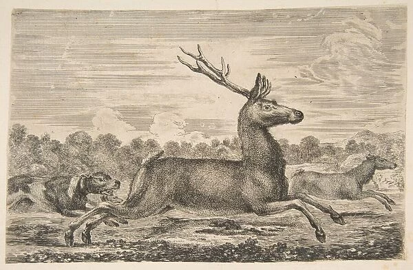 Hounds Chasing a Stag and a Doe, ca. 1654. Creator: Stefano della Bella