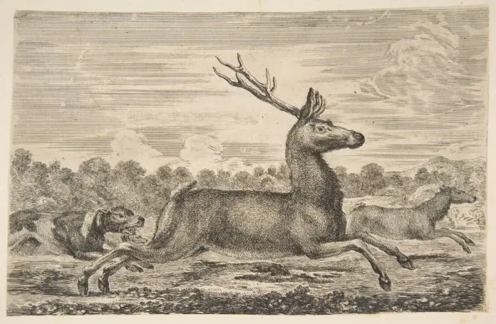 Framed Print : Hounds Chasing a Stag and a Doe, ca. 1654. Creator: Stefano della Bella Framed Print : Hounds Chasing a Stag and a Doe, ca. 1654. Creator: Stefano della Bella