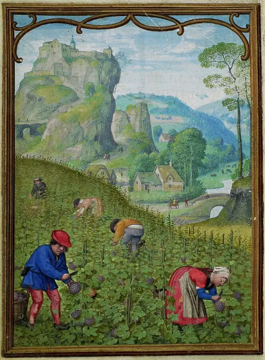 Framed Print : The Hours of Hennessy (Hours of Notre-Dame). Labors of the Months: October, c1530. Creator: Bening, Simon, (Workshop) (ca 1483-1561) Framed Print : The Hours of Hennessy (Hours of Notre-Dame). Labors of the Months: October, c1530. Creator: Bening, Simon, (Workshop) (ca 1483-1561)