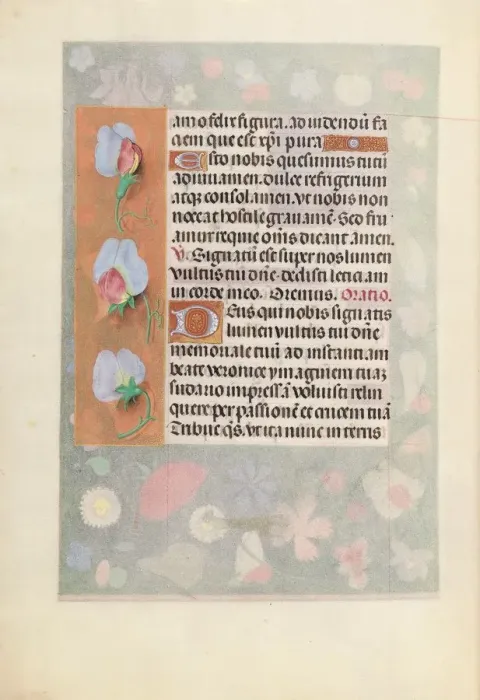 Framed Print : Hours of Queen Isabella the Catholic, Queen of Spain: Fol Framed Print : Hours of Queen Isabella the Catholic, Queen of Spain: Fol