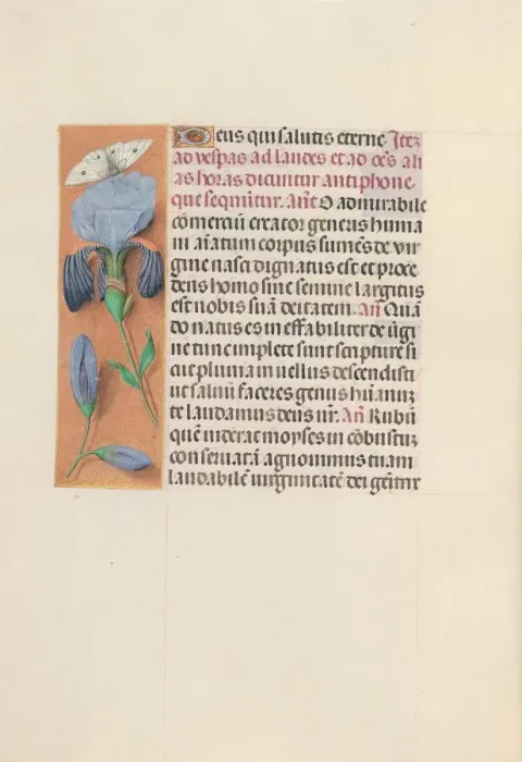 Framed Print : Hours of Queen Isabella the Catholic, Queen of Spain: Fol. 165v, c. 1500. Creator Framed Print : Hours of Queen Isabella the Catholic, Queen of Spain: Fol. 165v, c. 1500. Creator