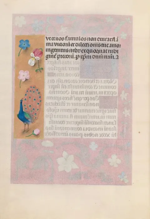 Framed Print : Hours of Queen Isabella the Catholic, Queen of Spain: Fol. 180v, c. 1500. Creator