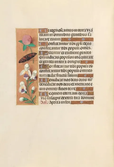 Framed Print : Hours of Queen Isabella the Catholic, Queen of Spain: Fol. 250v, c. 1500. Creator Framed Print : Hours of Queen Isabella the Catholic, Queen of Spain: Fol. 250v, c. 1500. Creator