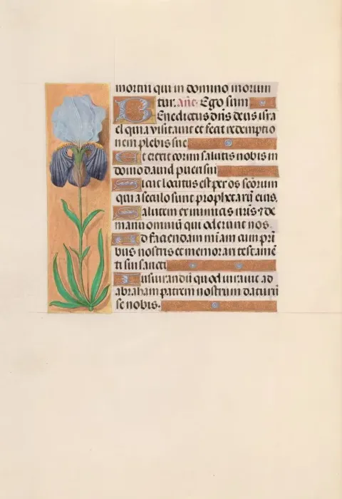 Framed Print : Hours of Queen Isabella the Catholic, Queen of Spain: Fol. 254v, c. 1500. Creator Framed Print : Hours of Queen Isabella the Catholic, Queen of Spain: Fol. 254v, c. 1500. Creator