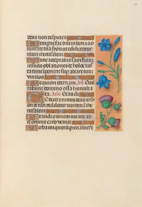 Framed Print : Hours of Queen Isabella the Catholic, Queen of Spain: Fol. 248r, c. 1500. Creator Framed Print : Hours of Queen Isabella the Catholic, Queen of Spain: Fol. 248r, c. 1500. Creator
