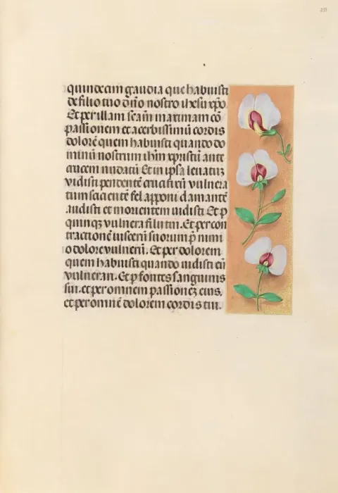 Framed Print : Hours of Queen Isabella the Catholic, Queen of Spain: Fol. 259r, c. 1500. Creator Framed Print : Hours of Queen Isabella the Catholic, Queen of Spain: Fol. 259r, c. 1500. Creator