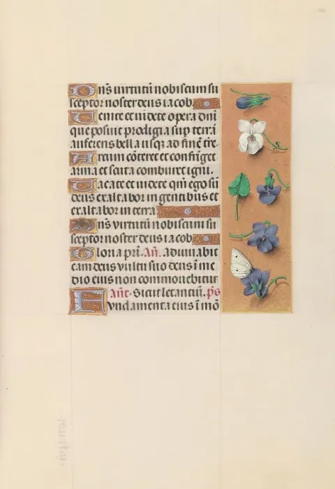 Framed Print : Hours of Queen Isabella the Catholic, Queen of Spain: Fol. 106r, c. 1500. Creator Framed Print : Hours of Queen Isabella the Catholic, Queen of Spain: Fol. 106r, c. 1500. Creator