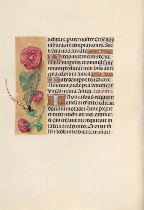Framed Print : Hours of Queen Isabella the Catholic, Queen of Spain: Fol. 110v, c. 1500. Creator Framed Print : Hours of Queen Isabella the Catholic, Queen of Spain: Fol. 110v, c. 1500. Creator