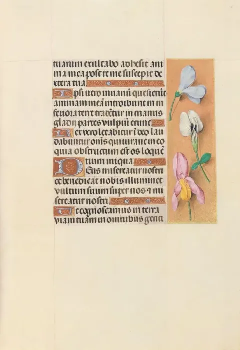 Framed Print : Hours of Queen Isabella the Catholic, Queen of Spain: Fol. 118r, c. 1500. Creator Framed Print : Hours of Queen Isabella the Catholic, Queen of Spain: Fol. 118r, c. 1500. Creator
