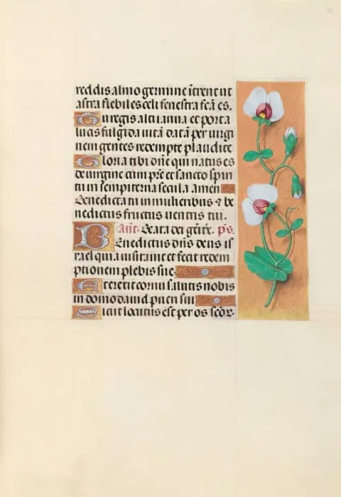 Framed Print : Hours of Queen Isabella the Catholic, Queen of Spain: Fol. 123r, c. 1500. Creator Framed Print : Hours of Queen Isabella the Catholic, Queen of Spain: Fol. 123r, c. 1500. Creator