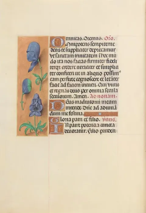 Framed Print : Hours of Queen Isabella the Catholic, Queen of Spain: Fol Framed Print : Hours of Queen Isabella the Catholic, Queen of Spain: Fol