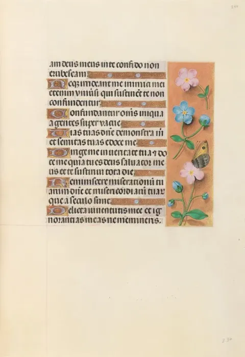 Framed Print : Hours of Queen Isabella the Catholic, Queen of Spain: Fol. 234r, c. 1500. Creator Framed Print : Hours of Queen Isabella the Catholic, Queen of Spain: Fol. 234r, c. 1500. Creator