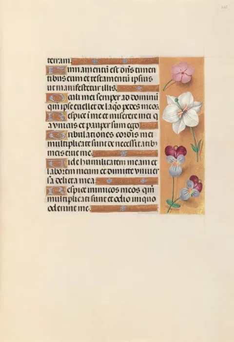 Framed Print : Hours of Queen Isabella the Catholic, Queen of Spain: Fol. 235r, c. 1500. Creator Framed Print : Hours of Queen Isabella the Catholic, Queen of Spain: Fol. 235r, c. 1500. Creator