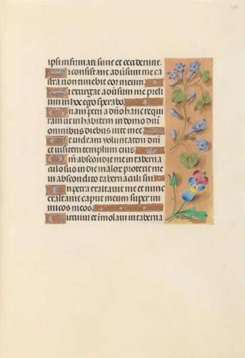 Framed Print : Hours of Queen Isabella the Catholic, Queen of Spain: Fol. 236r, c. 1500. Creator Framed Print : Hours of Queen Isabella the Catholic, Queen of Spain: Fol. 236r, c. 1500. Creator