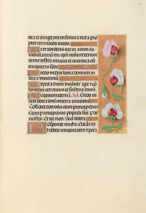 Framed Print : Hours of Queen Isabella the Catholic, Queen of Spain: Fol. 237r, c. 1500. Creator