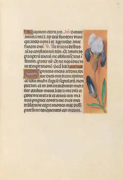 Framed Print : Hours of Queen Isabella the Catholic, Queen of Spain: Fol. 244r, c. 1500. Creator Framed Print : Hours of Queen Isabella the Catholic, Queen of Spain: Fol. 244r, c. 1500. Creator