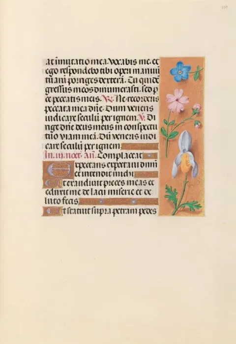 Framed Print : Hours of Queen Isabella the Catholic, Queen of Spain: Fol. 239r, c. 1500. Creator Framed Print : Hours of Queen Isabella the Catholic, Queen of Spain: Fol. 239r, c. 1500. Creator