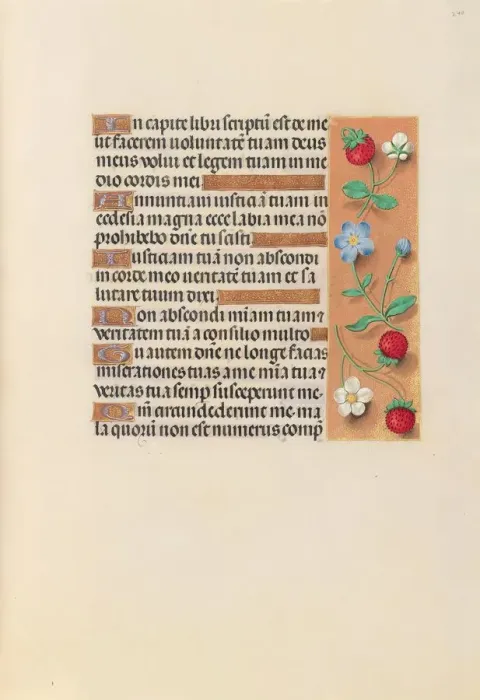 Framed Print : Hours of Queen Isabella the Catholic, Queen of Spain: Fol. 240r, c. 1500. Creator Framed Print : Hours of Queen Isabella the Catholic, Queen of Spain: Fol. 240r, c. 1500. Creator