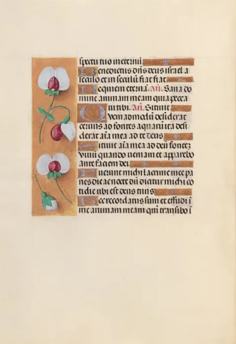 Framed Print : Hours of Queen Isabella the Catholic, Queen of Spain: Fol. 242v, c. 1500. Creator Framed Print : Hours of Queen Isabella the Catholic, Queen of Spain: Fol. 242v, c. 1500. Creator