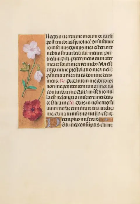 Framed Print : Hours of Queen Isabella the Catholic, Queen of Spain: Fol. 244v, c. 1500. Creator Framed Print : Hours of Queen Isabella the Catholic, Queen of Spain: Fol. 244v, c. 1500. Creator