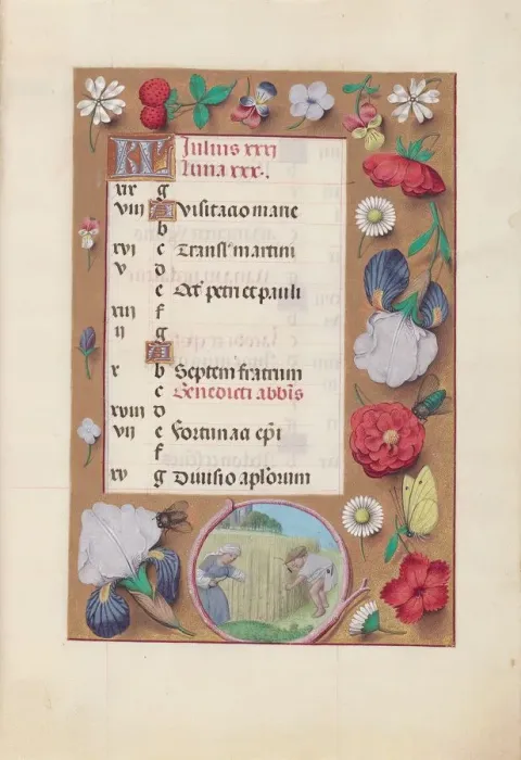 Framed Print : Hours of Queen Isabella the Catholic, Queen of Spain: Fol. 8r, July - Harvesting Wheat, c Framed Print : Hours of Queen Isabella the Catholic, Queen of Spain: Fol. 8r, July - Harvesting Wheat, c