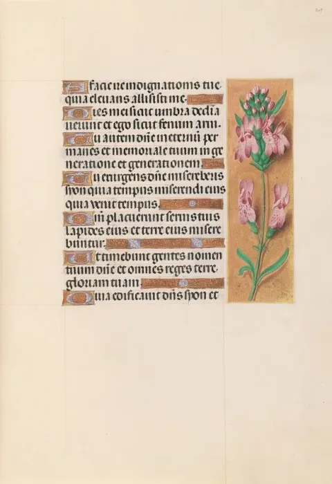 Framed Print : Hours of Queen Isabella the Catholic, Queen of Spain: Fol. 207r, c. 1500. Creator Framed Print : Hours of Queen Isabella the Catholic, Queen of Spain: Fol. 207r, c. 1500. Creator