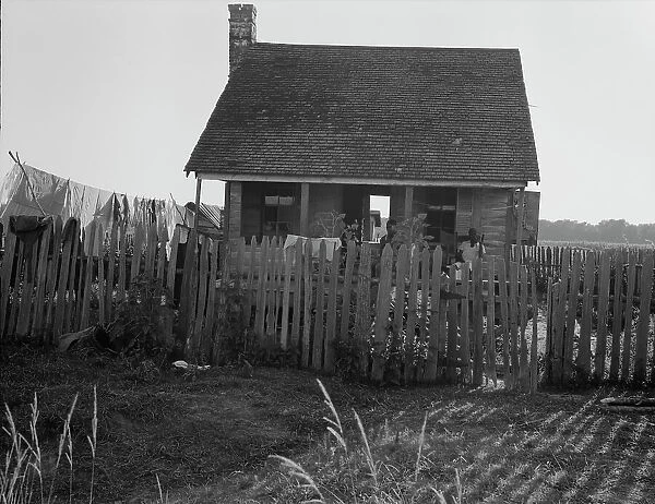 House on a cotton plantation in the Louisiana delta, 1937. Creator: Dorothea Lange