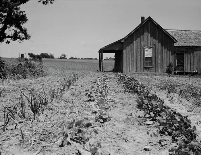 Framed Print : House of ex-tenant farmer now on reliefEllis County, Texas, 1937. Creator: Dorothea Lange Framed Print : House of ex-tenant farmer now on reliefEllis County, Texas, 1937. Creator: Dorothea Lange