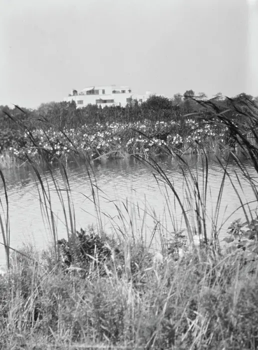Framed Print : House and grounds of The Shallows, property of Lucien Hamilton Tyng, Southampton, Long Island, 193 Creator: Arnold Genthe. House and grounds of The Shallows, property of Lucien Hamilton Tyng, Southampton, Long Island Framed Print : House and grounds of The Shallows, property of Lucien Hamilton Tyng, Southampton, Long Island, 193 Creator: Arnold Genthe. House and grounds of The Shallows, property of Lucien Hamilton Tyng, Southampton, Long Island
