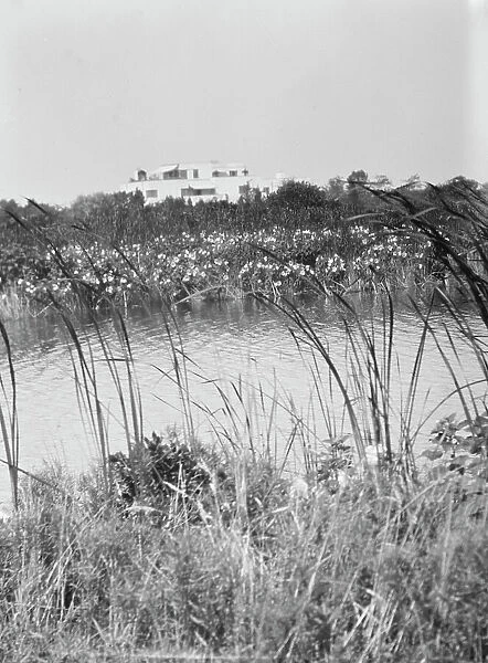House and grounds of 'The Shallows, ' property of Lucien Hamilton Tyng, Southampton, Long Island, 193 Creator: Arnold Genthe. House and grounds of 'The Shallows, ' property of Lucien Hamilton Tyng, Southampton, Long Island