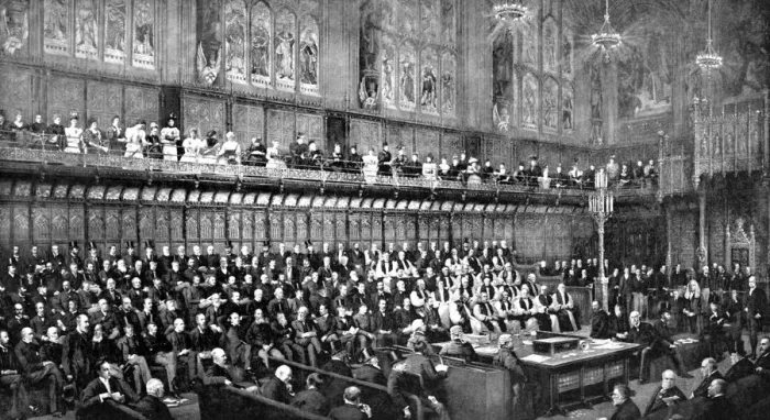 Framed Print : The House of Lords during the Home Rule Debate, 1893 (c1905) Framed Print : The House of Lords during the Home Rule Debate, 1893 (c1905)