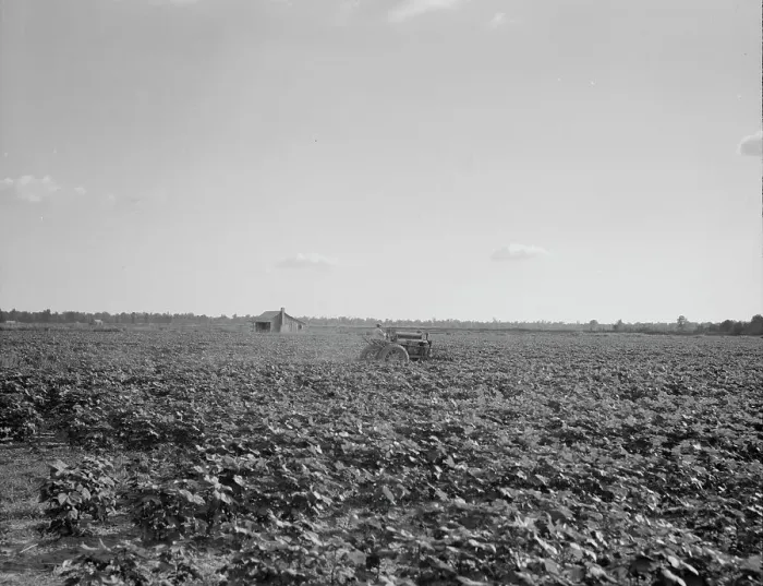 Framed Print : Houses dot the fields, abandoned, Aldridge Plantation near Leland, Mississippi, 1937. Creator: Dorothea Lange Framed Print : Houses dot the fields, abandoned, Aldridge Plantation near Leland, Mississippi, 1937. Creator: Dorothea Lange