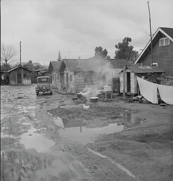 Houses inhabited by Mexican citrus workers, Lindsay, Tulare County, California, 1939. Creator: Dorothea Lange