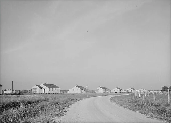 Houses at Lake Dick cooperative, Arkansas, 1938. Creator: Dorothea Lange