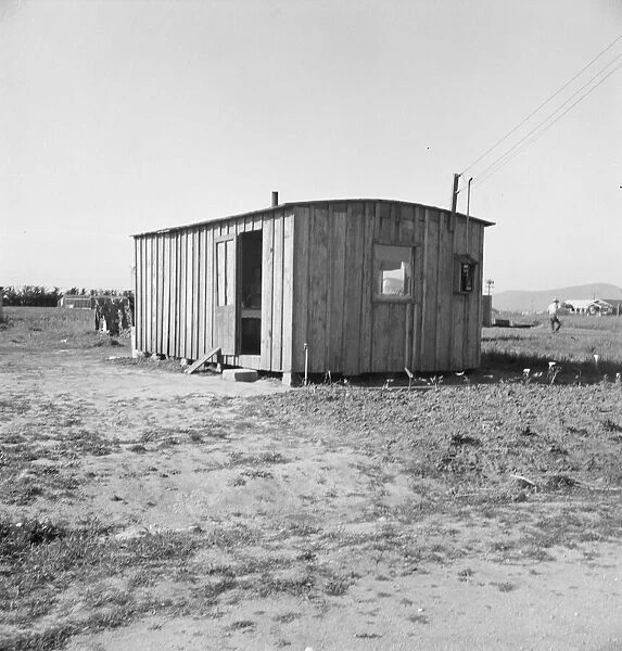 Housing for rapidly growing settlement of lettuce workers on fringe of town, Salinas, CA, 1939. Creator: Dorothea Lange
